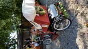 Hochzeit Pillnitz